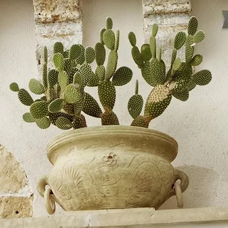 公寓 Corte Merlata *