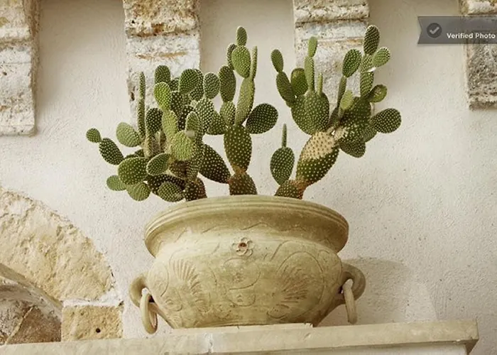 Apartmán Corte Merlata *